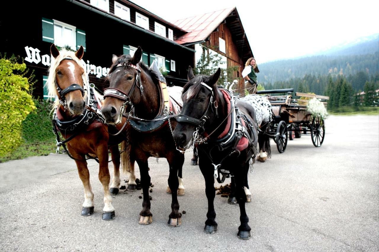 Walmendinger Haus Hirschegg (Vorarlberg) Exterior foto